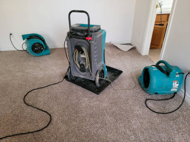 Trusted Oak Harbor, OH Water damage restoration Experts