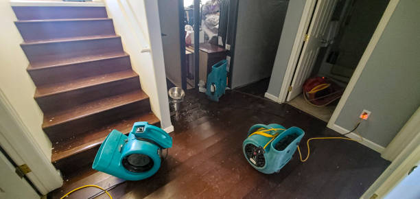 Best Flood damage cleanup  in Oak Harbor, OH