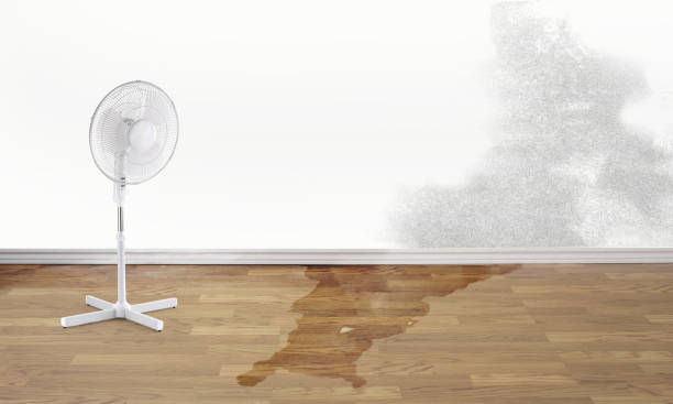 Best 24/7 water damage repair  in Oak Harbor, OH