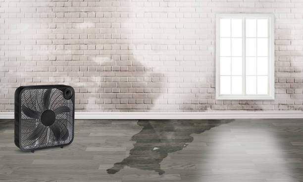 Best Residential water damage restoration  in Oak Harbor, OH