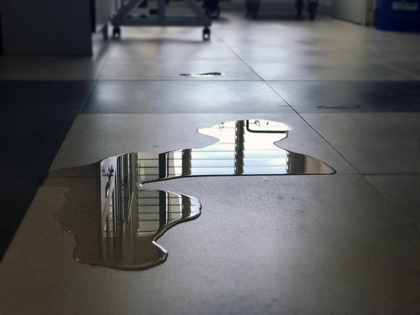 Best Water damage mitigation services  in Oak Harbor, OH