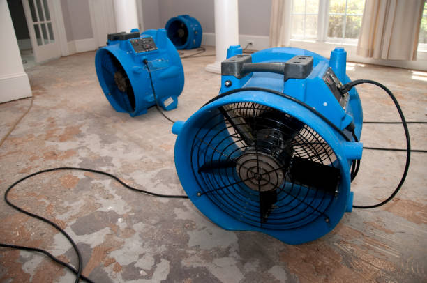 Trusted Oak Harbor, OH Water damage restoration Experts