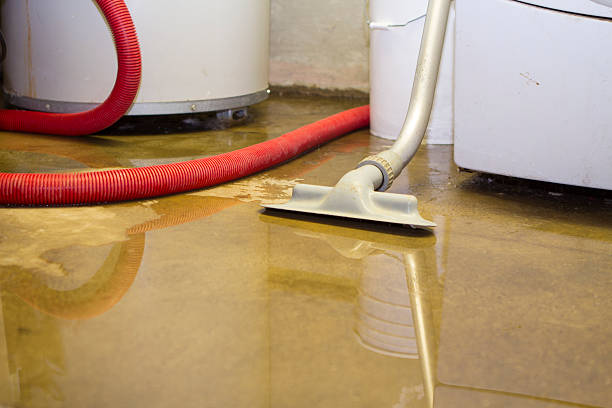 Best Basement water damage restoration  in Oak Harbor, OH