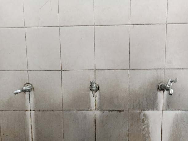 Best Commercial water damage restoration  in Oak Harbor, OH