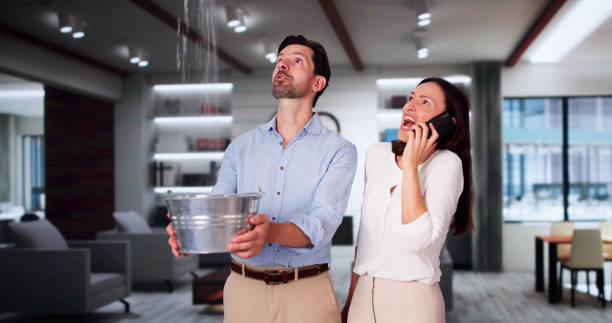  Oak Harbor, OH Water damage restoration Pros