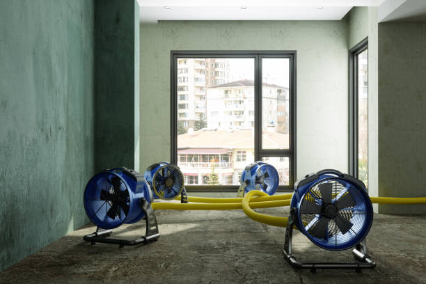 Best 24-hour water damage restoration  in Oak Harbor, OH